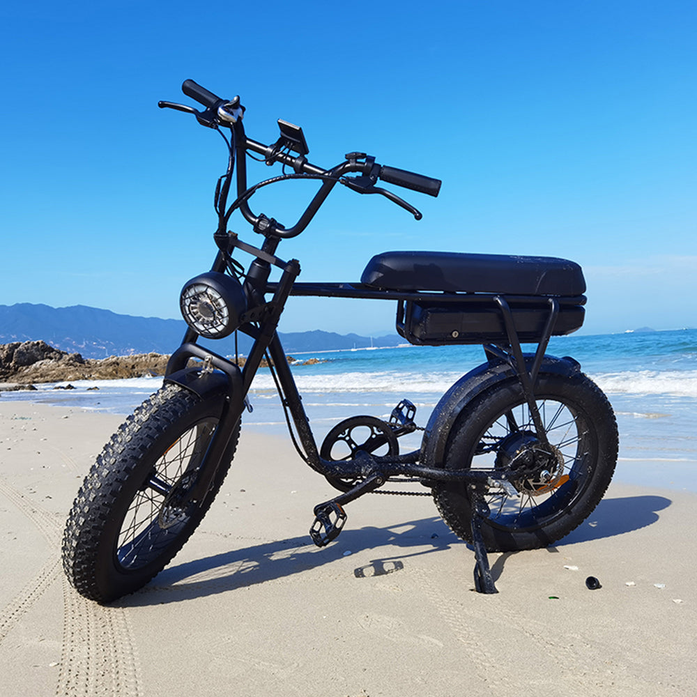 Electric Bike 20'' 26'' Fatbike Elektrisches Fahrrad Experienced City Electric Bicycle