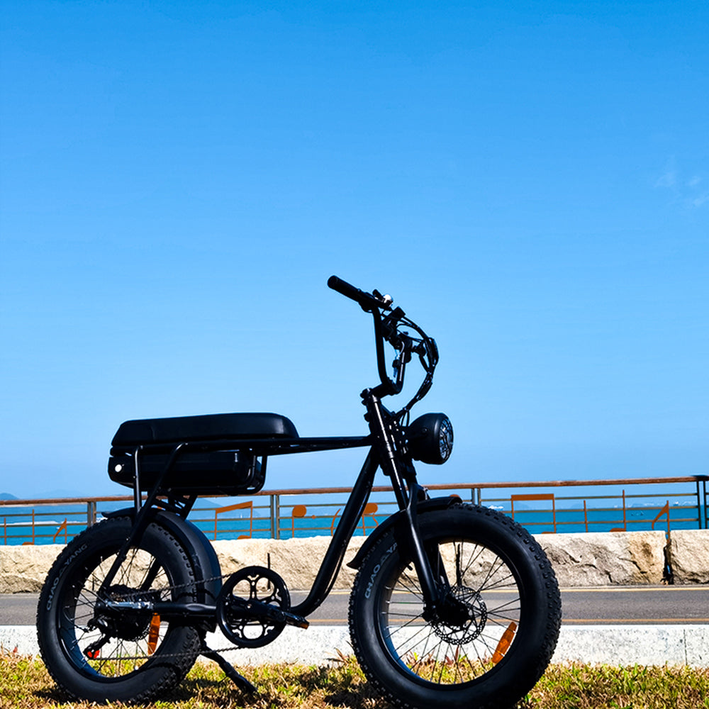 Vélo électrique 20'' 26'' Fatbike Elektrisches Fahrrad Vélo électrique de ville expérimenté 