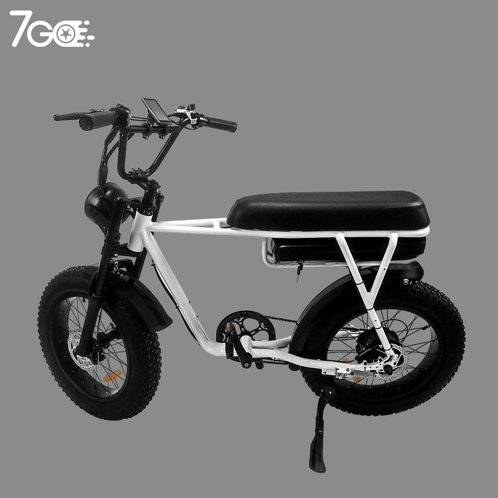 Bicicleta eléctrica 20'' 26'' Fatbike Elektrisches Fahrrad Bicicleta eléctrica urbana experimentada 