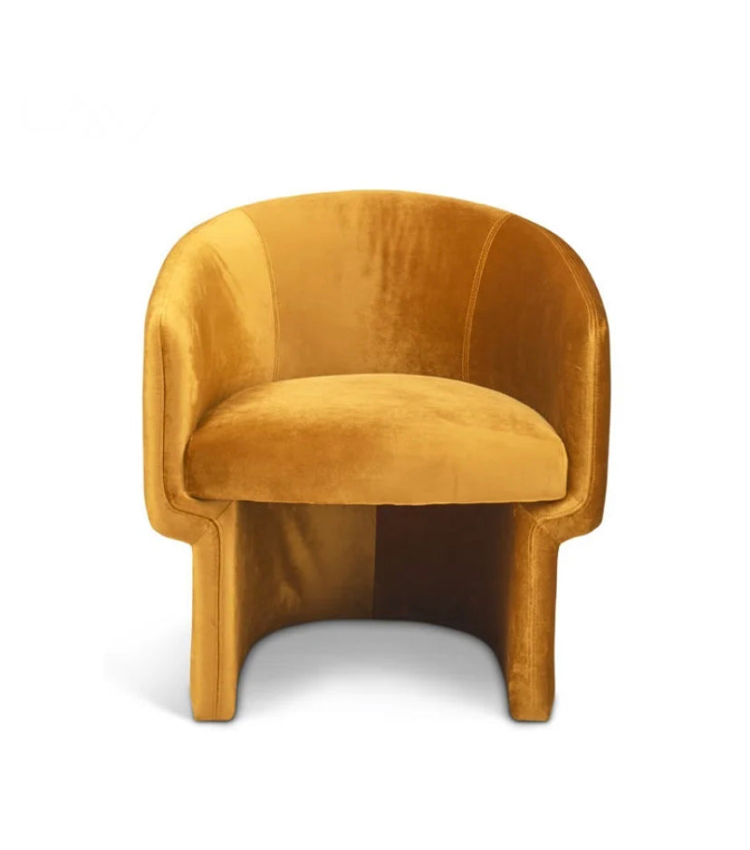 Arm Chair Modern Design Living Room Furniture Velvet Leisure Armchairs